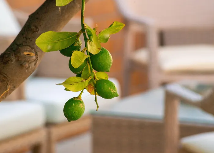 Hotel Thalassi Rethymno