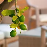 מלון Thalassi העיירה רתימנו