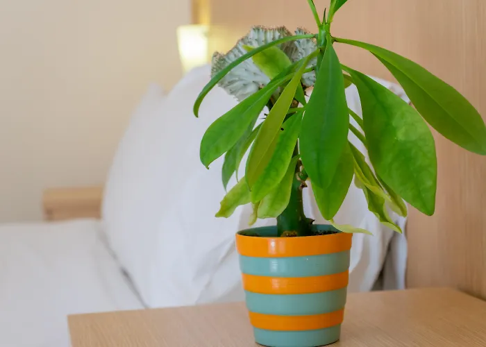 Thalassi Ретимно (Крит)